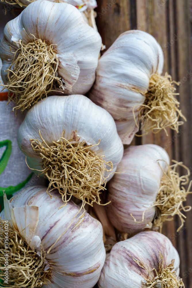 organic natural fresh dried ripe garlic organic natural fresh dried ripe garlic
