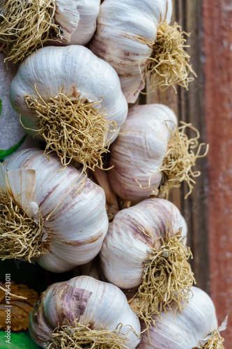 organic natural fresh dried ripe garlic