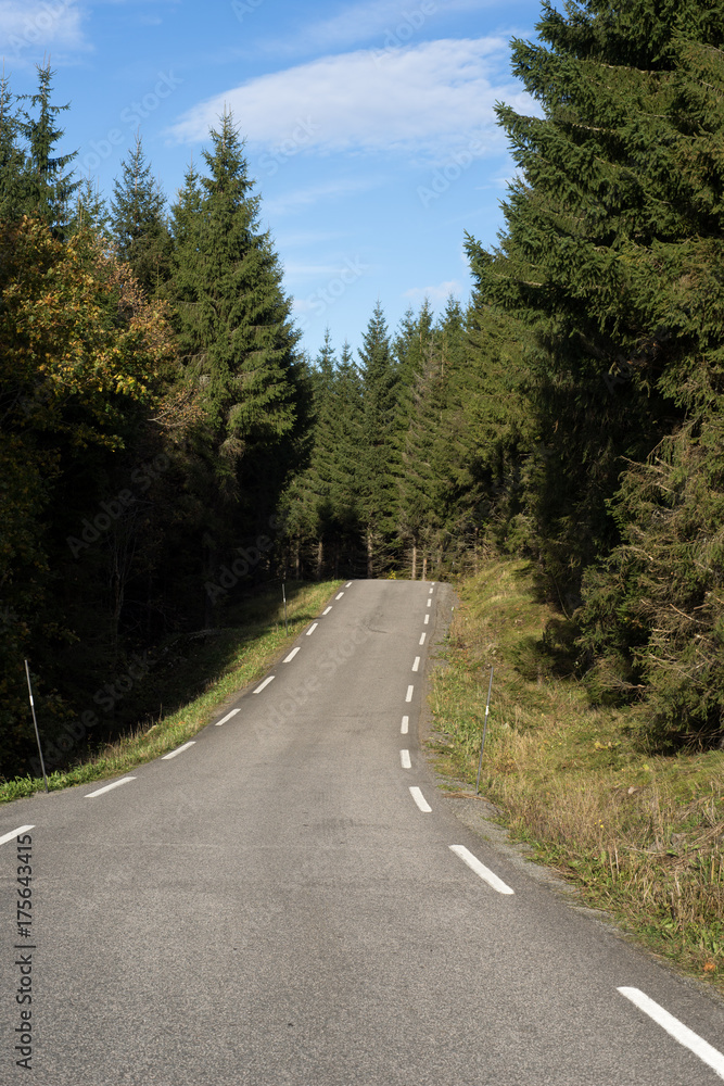 Naklejka premium road