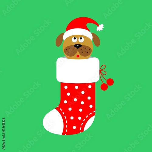 Christmas card with a dog in the sock. The new year 2018. Vector illustration