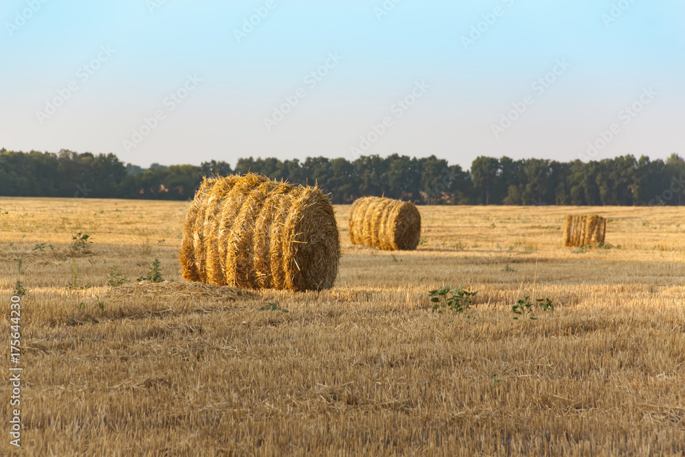 Cylindrical haystack.