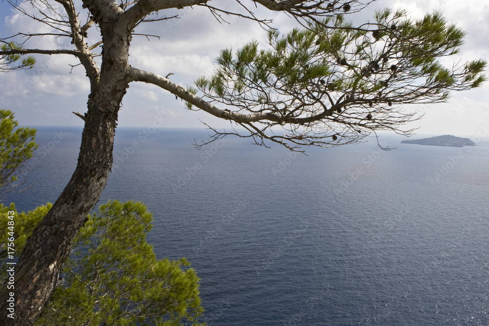 Bay near by Cala san Vincente, Ibiza, Baleares, Spain, Europe Bay near by Cala san Vincente, Ibiza, Baleares, Spain, Europe