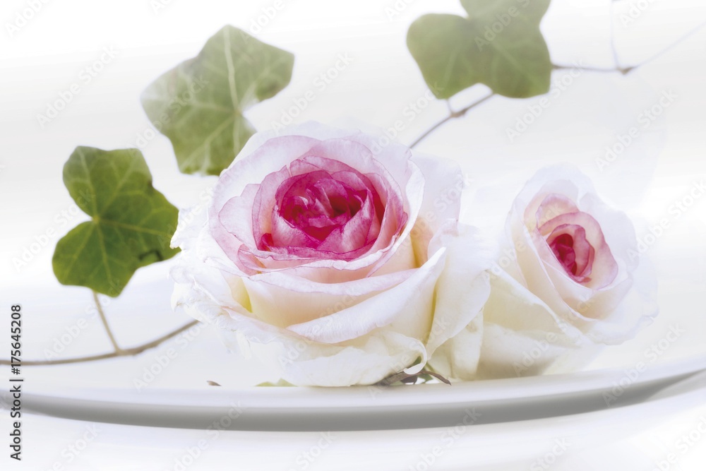 Roses on a plate Roses on a plate