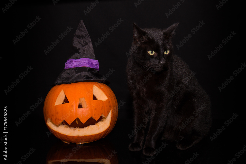 Black cat standing next to a carved pumpkin against a dark background Black cat standing next to a carved pumpkin against a dark background