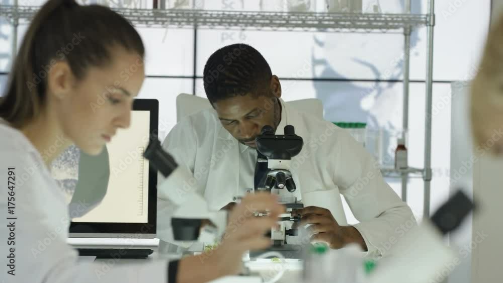 Portrait male medical researcher working in the lab Portrait male medical researcher working in the lab