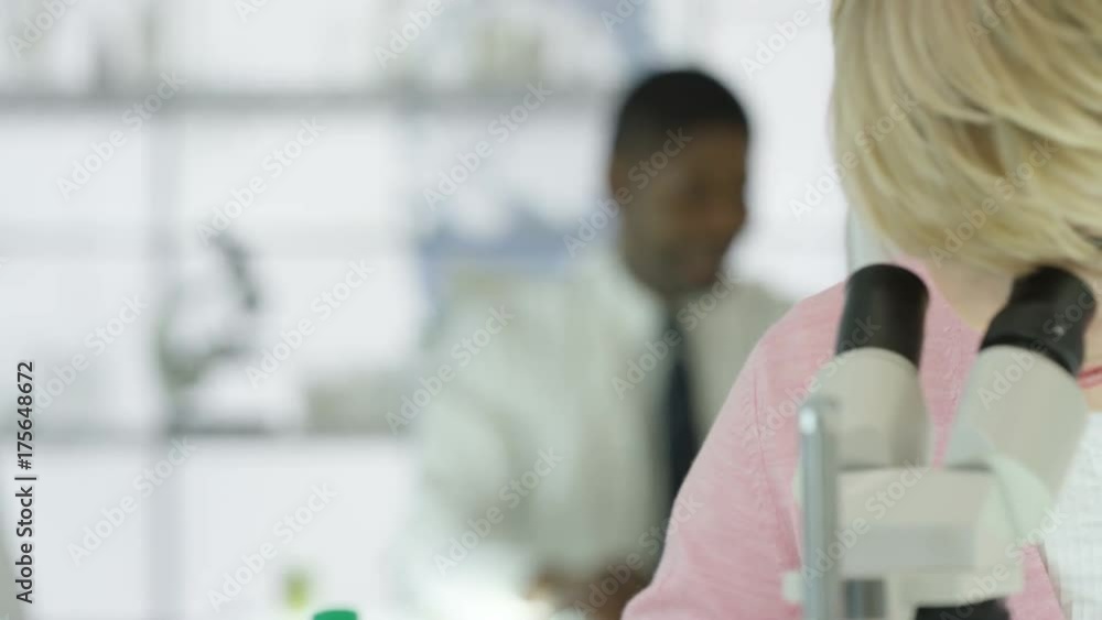 Close up medical researcher working in the lab looking into microscope Close up medical researcher working in the lab looking into microscope