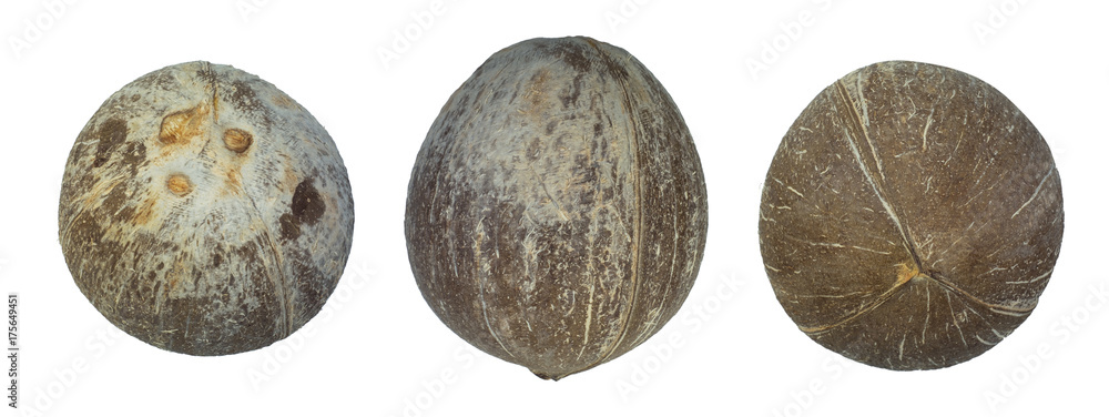 Different side of brown coconut isolated on white background with clipping path. Different side of brown coconut isolated on white background with clipping path.