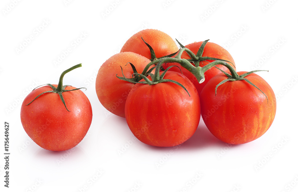 Six tomatoes closeup. On an isolated white background. Six tomatoes closeup. On an isolated white background.