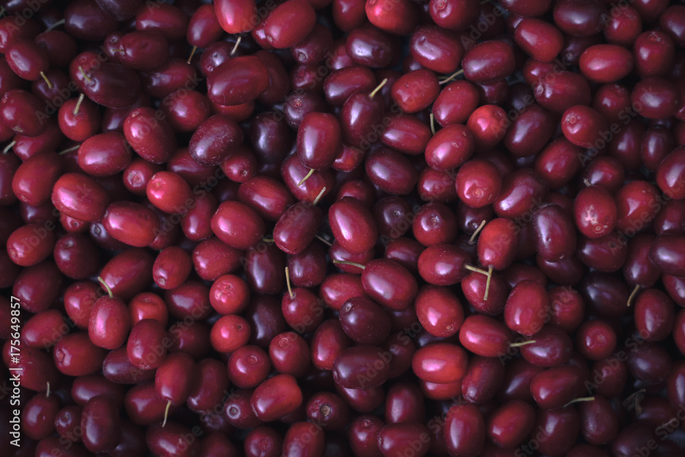 Ripe fresh red cornel berries. Natural background. Ripe fresh red cornel berries. Natural background.