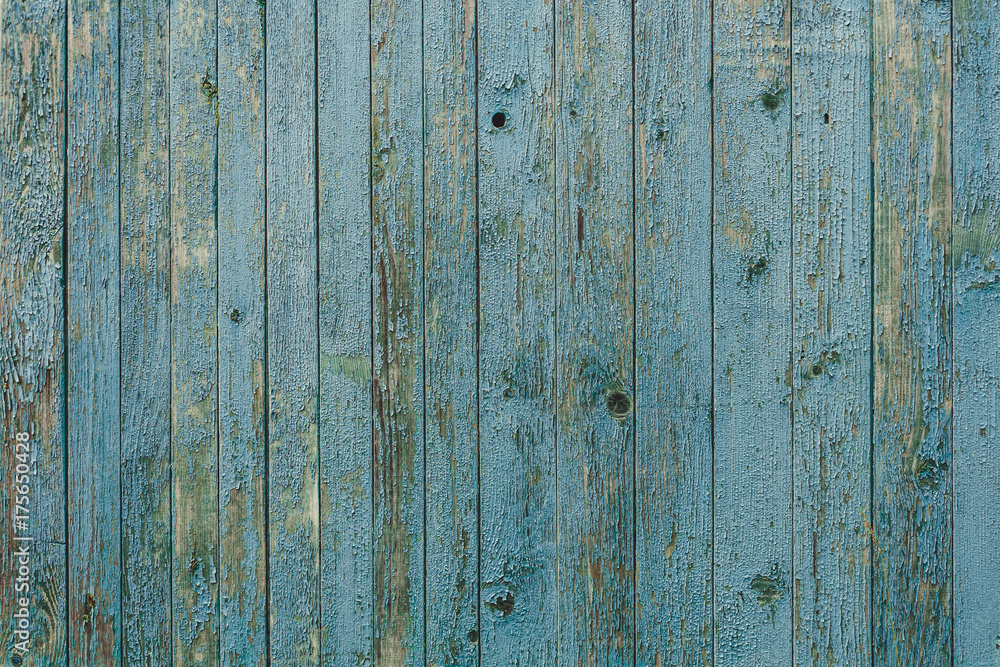 Fototapeta premium Vintage wood background with blue peeling paint.