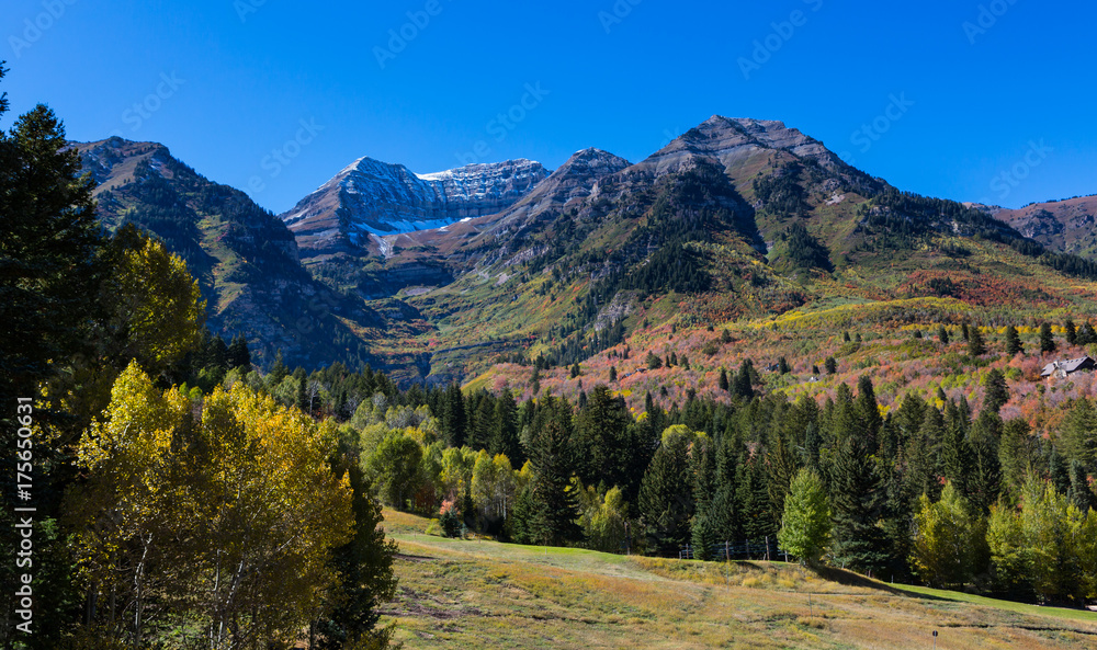 Fall Colors on Northern Utah Mountains