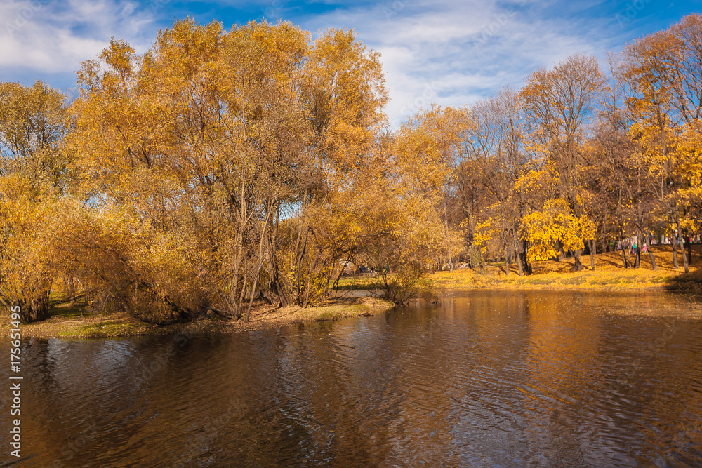 Autumn Yellow Trees Sky Blue Autumn Yellow Trees Sky Blue