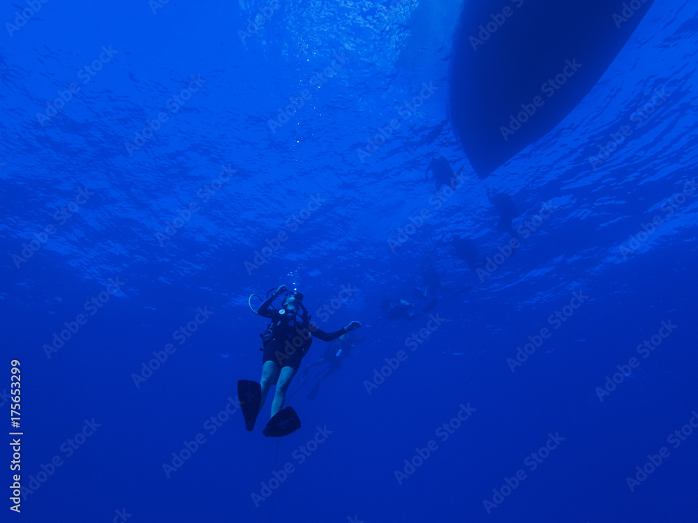 Diver Descending into the Blue Ocean below Boat Silhouette on Surface Diver Descending into the Blue Ocean below Boat Silhouette on Surface