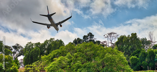 Airplane landing behind trees