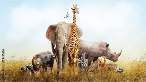 Canvas Print Safari Animals in Africa Composite