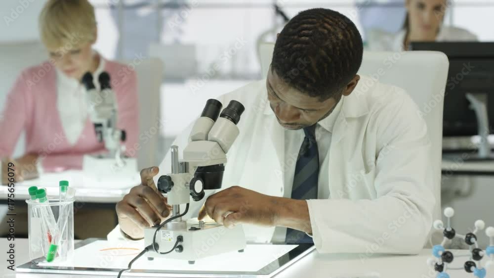 Medical research team working in the lab looking at samples under microscopes Medical research team working in the lab looking at samples under microscopes