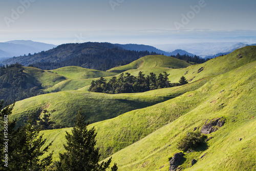 Rolling Hills in Marin