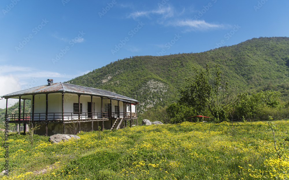 Fototapeta premium a quaint old house in a rural zone in heart of mountains