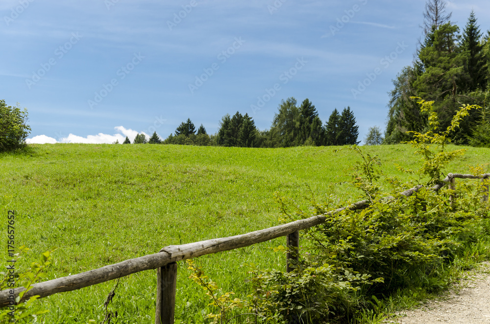 a green field on the mountain, view of a green mountain field under a blue sky