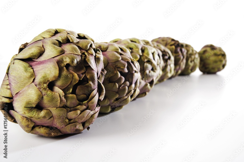 Fototapeta premium Row of artichokes (Cynara scolymus)