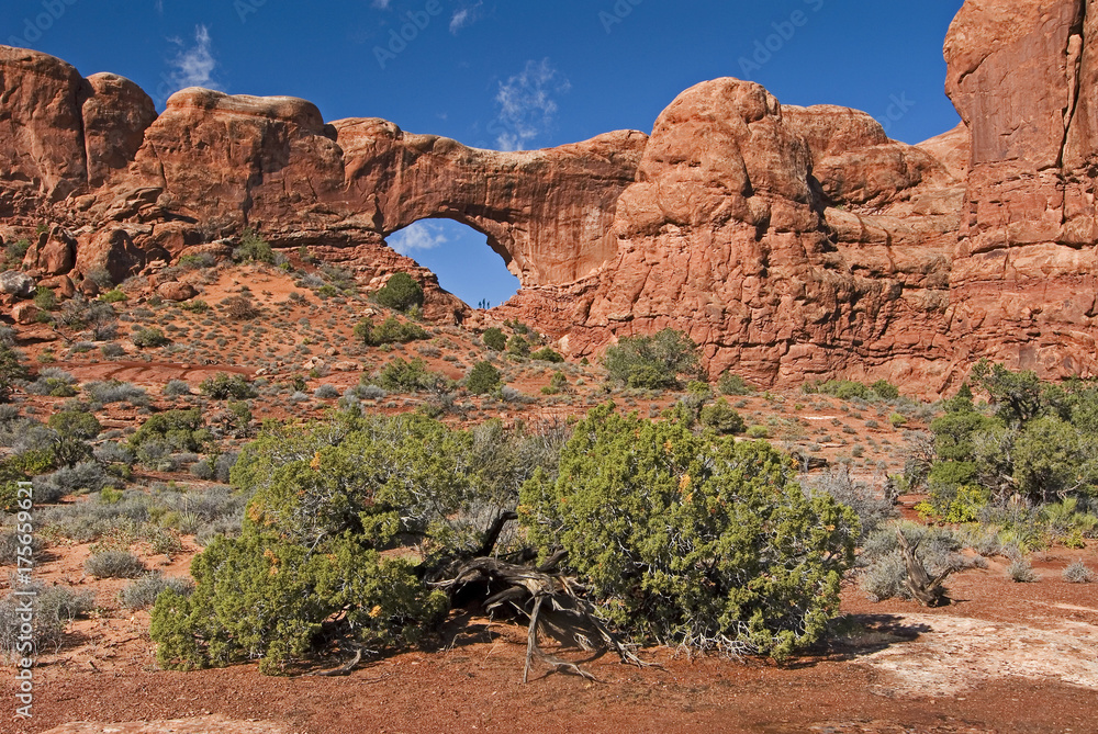 Natural arch North Window in Arches National Park Utah USA
