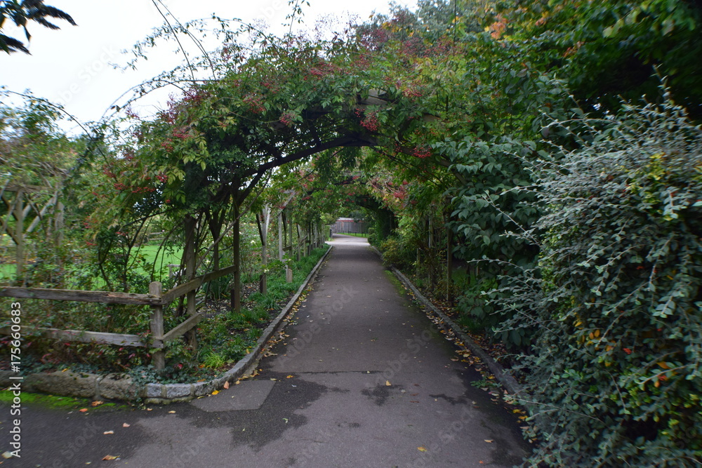 Fototapeta premium Plant Arcade