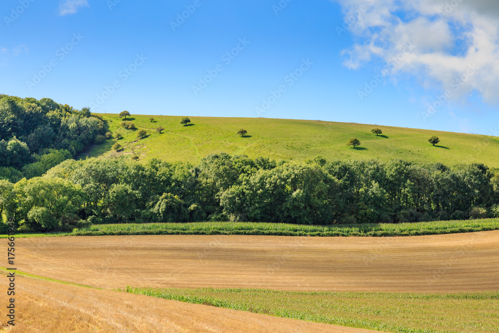 Obraz premium Late Summer Landscape