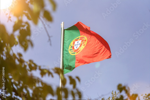 Obraz na plátně flag of portugal