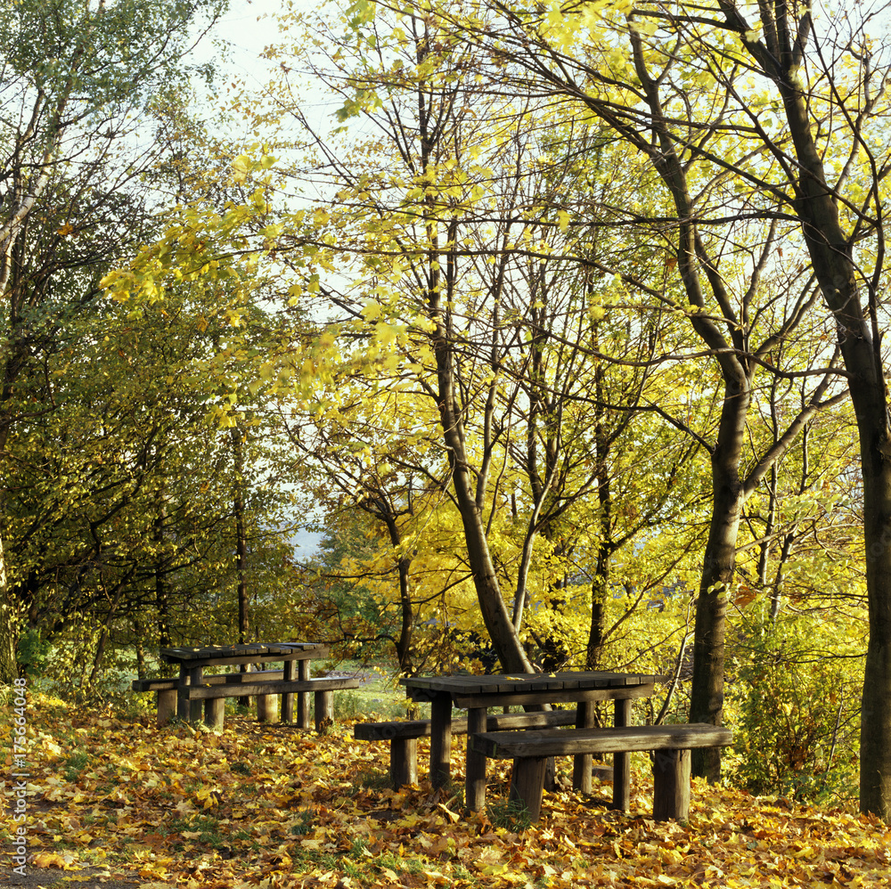 Rest area at the Fuldaer Haus near Steinwand Hessian Rhoen Rhoen mountains Hesse Germany Rest area at the Fuldaer Haus near Steinwand Hessian Rhoen Rhoen mountains Hesse Germany