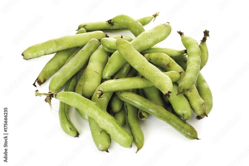 Fresh thick beans