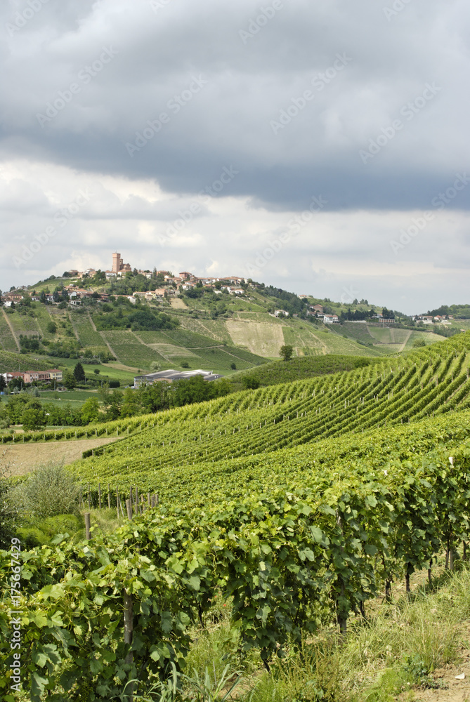 Hilly countryside between Asti and Alba Langhe Piedmont Piemonte Italy