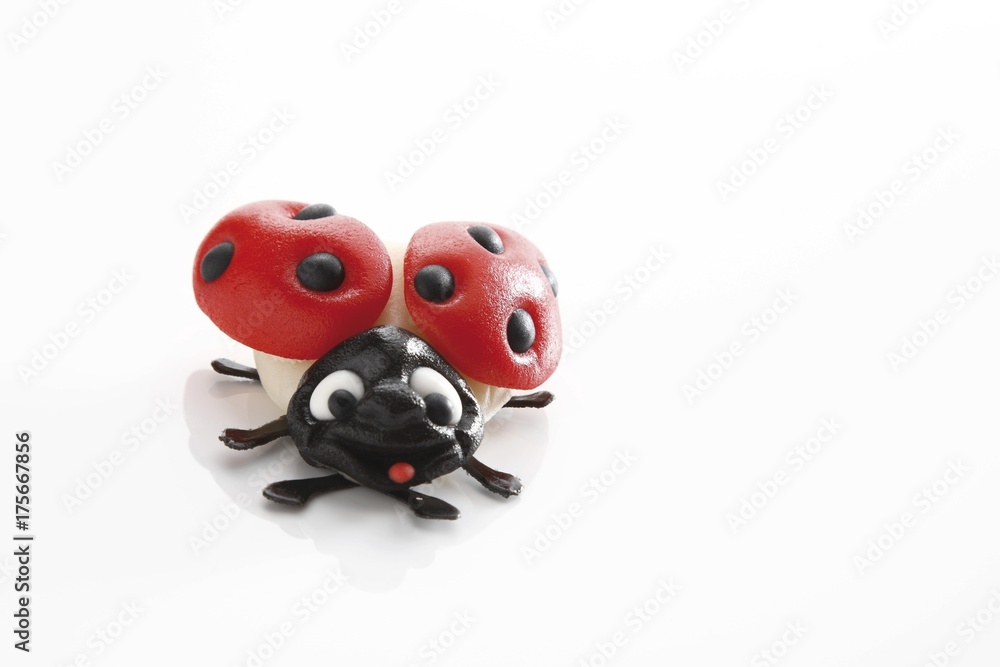 Fototapeta premium Marzipan ladybird