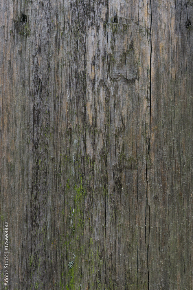 holz hintergrund holz hintergrund