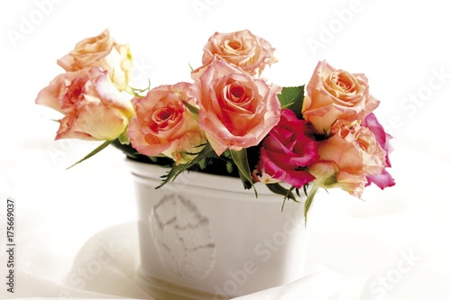 Roses in a white vase