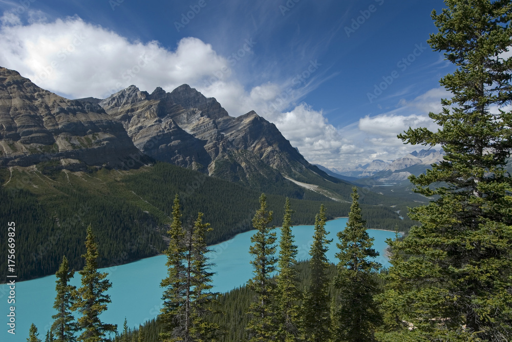 View of the wooded shoreline of Peyto Lake and Bow Valley with Mount Patterson in the background, Waputik Mountains, Banff National Park, Alberta, Canada, North America