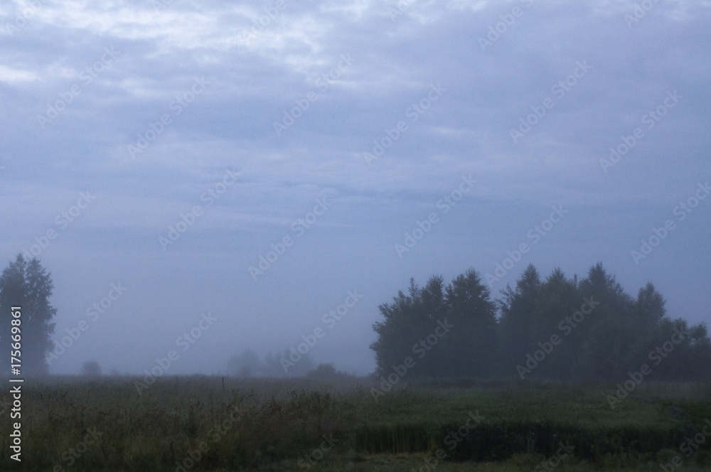foggy dawn foggy dawn