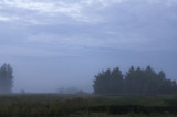foggy dawn