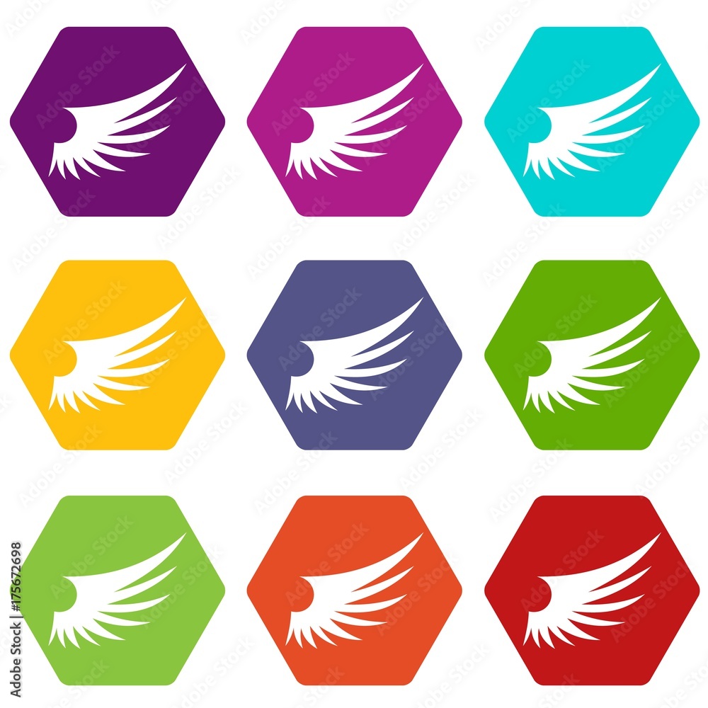 Wing icon set color hexahedron