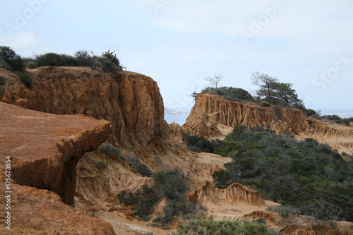 torrey pines