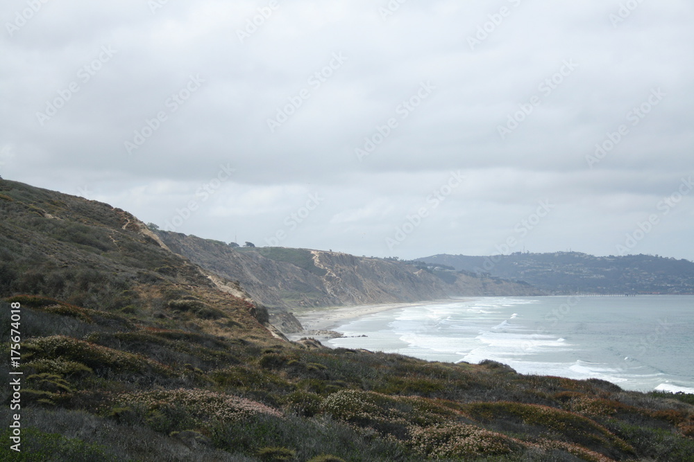 torrey pines