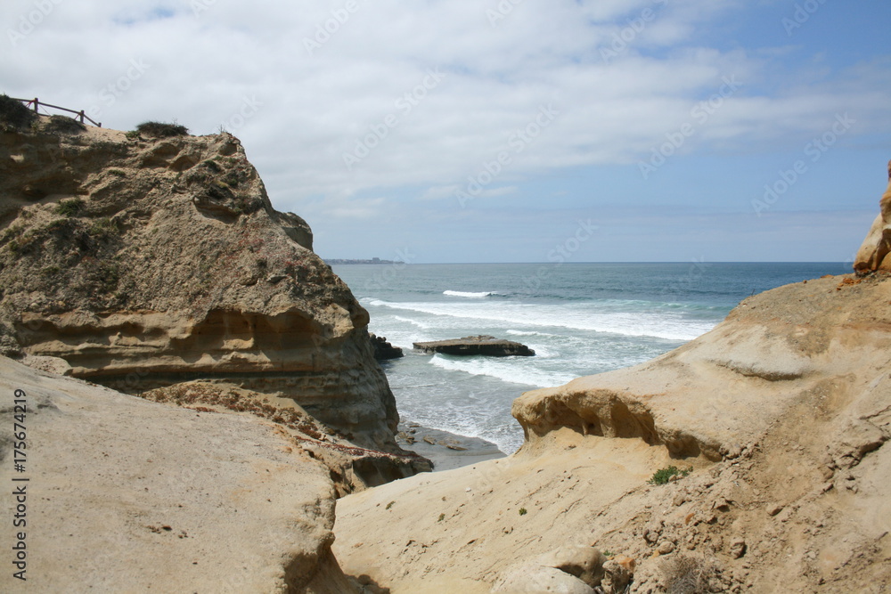 torrey pines