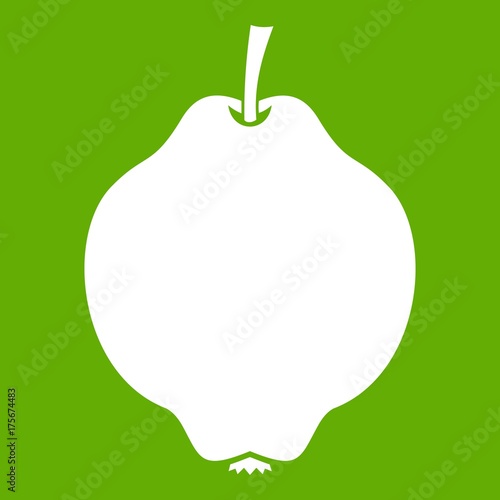 Quince fruit icon green