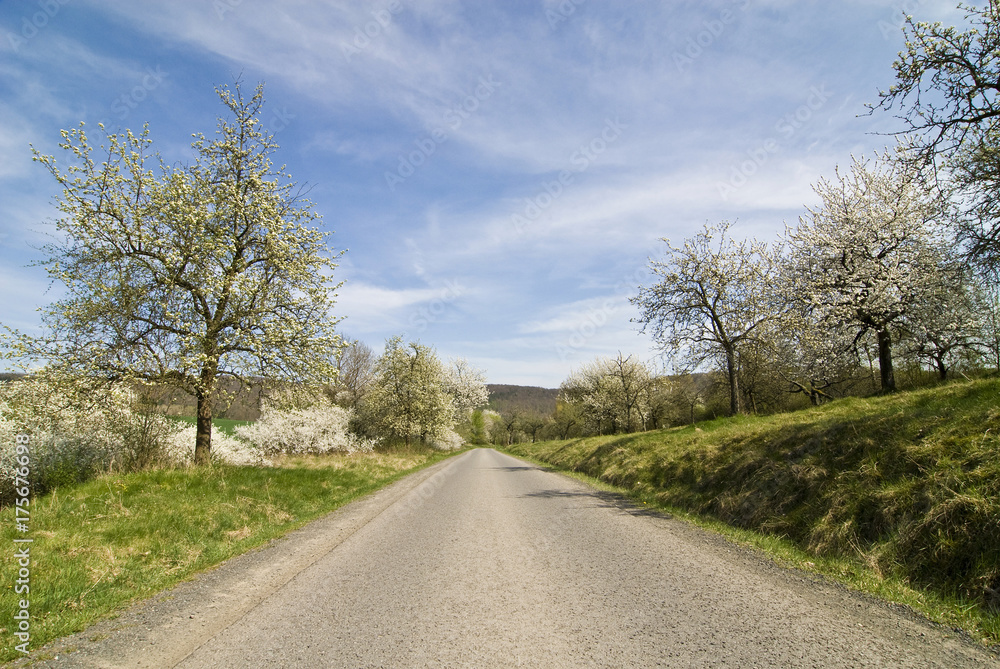 Road through the Hassberge in spring, Lower Franconia, Bavaria, Germany, Europe