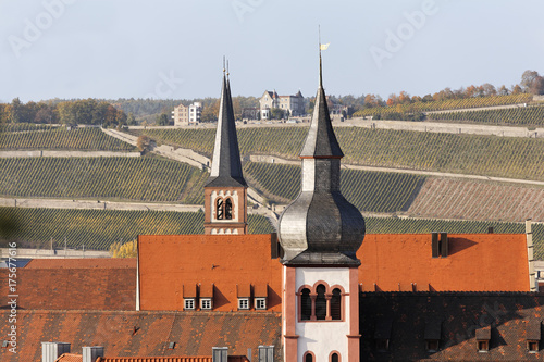 Wuerzburg, Deutschhaus church, Steinburg hotel, vineyards Wuerzburger Stein, Franconia, Bavaria, Germany, Europe photo