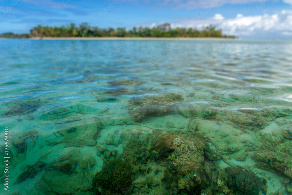 Seabed of the island Seabed of the island