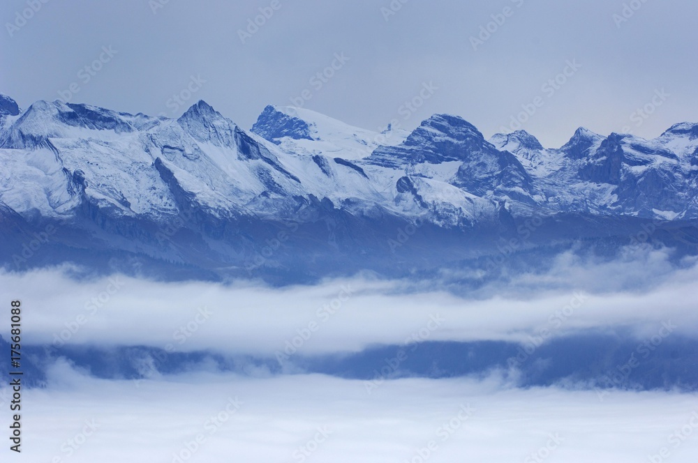 Alp panorama, Canton Schwyz, Switzerland, Europe Alp panorama, Canton Schwyz, Switzerland, Europe