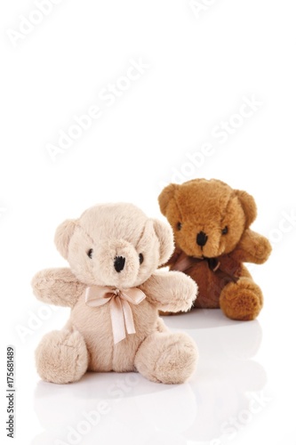 Two teddy bears © imageBROKER