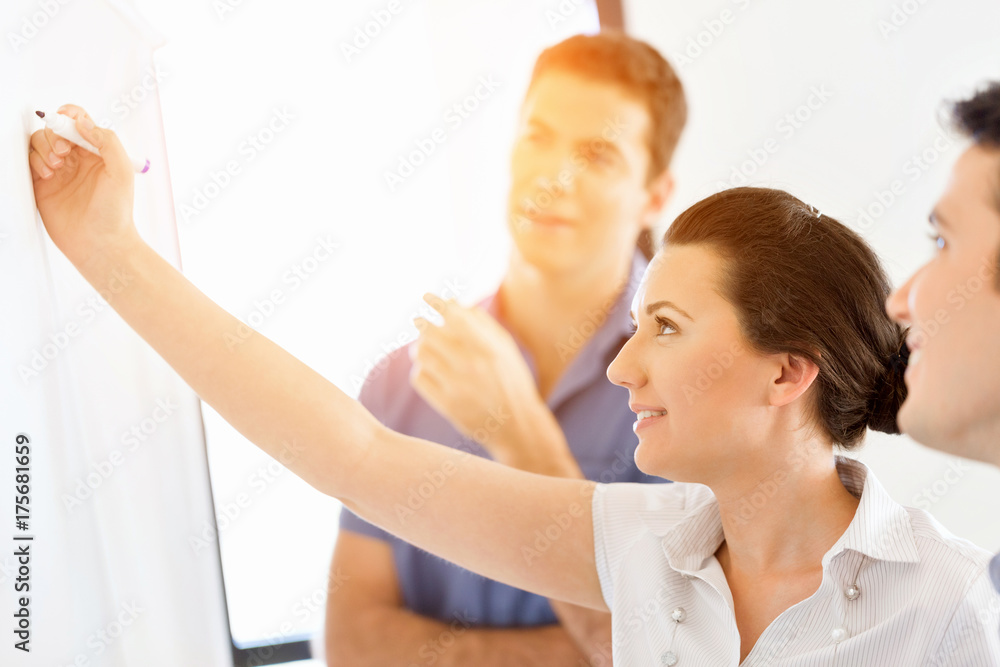 Fototapeta premium Business meeting with presentation