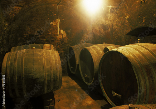 Φωτογραφία Wine barrels, Rust, Burgenland, Austria, Europe