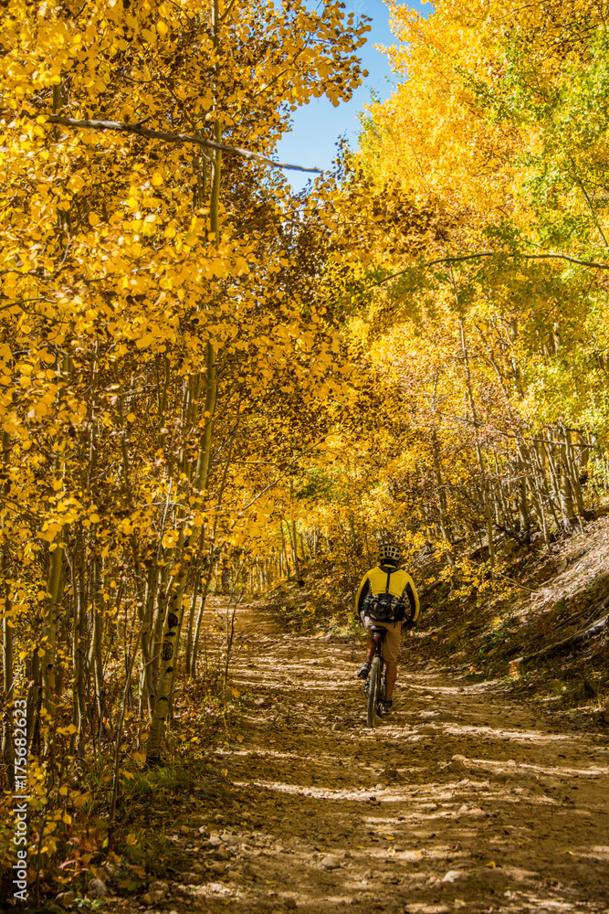 Bike Riding through Santa Fe National Forest Bike Riding through Santa Fe National Forest